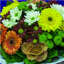 https://bonovo.isisflor.com/fileuploads/Produtos/Bouquets e Ramos/thumb__Bouquet_Primaveril_02.jpg